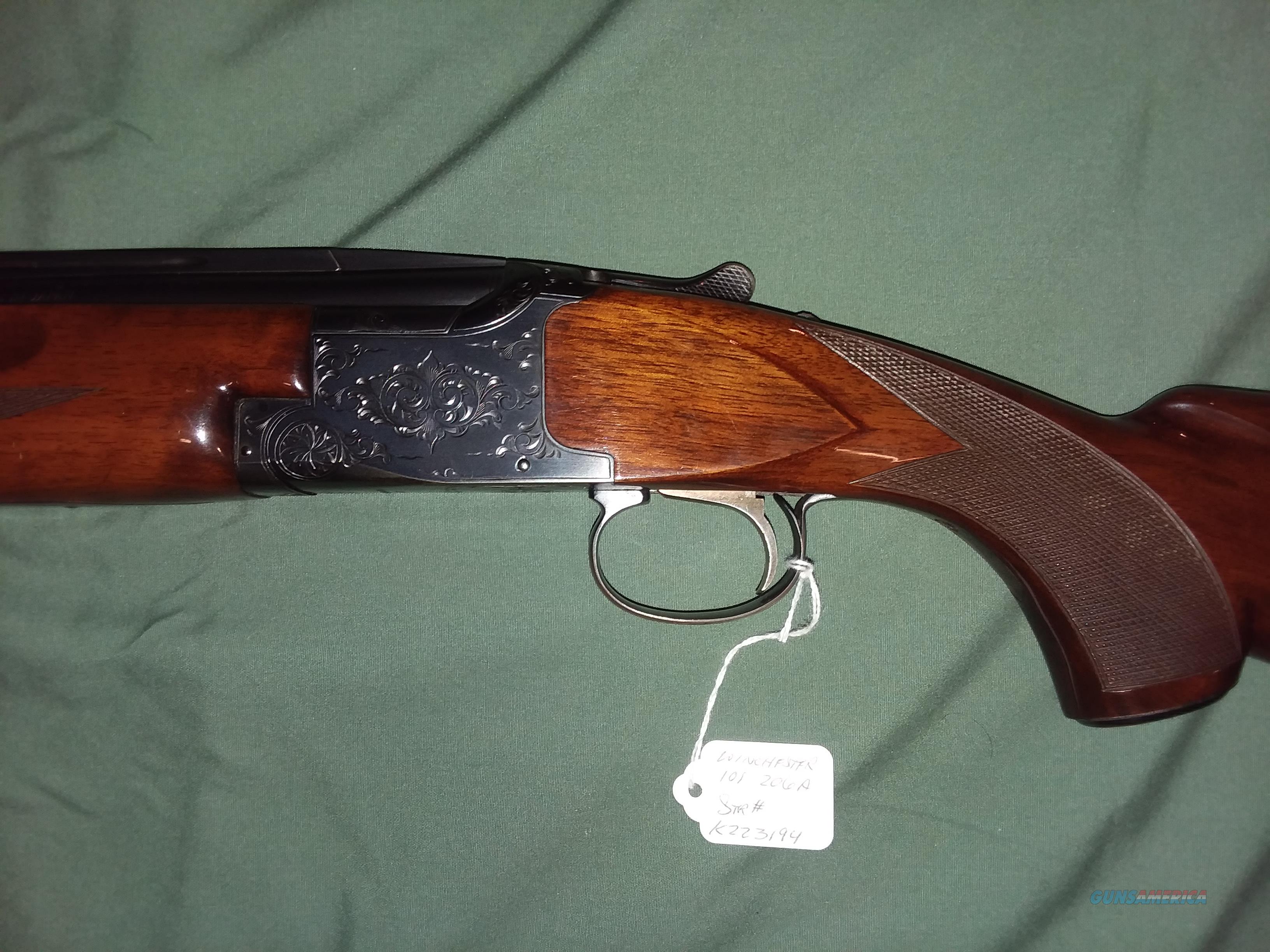 Winchester 101 20ga Skeet, 26inch V... for sale at Gunsamerica.com ...