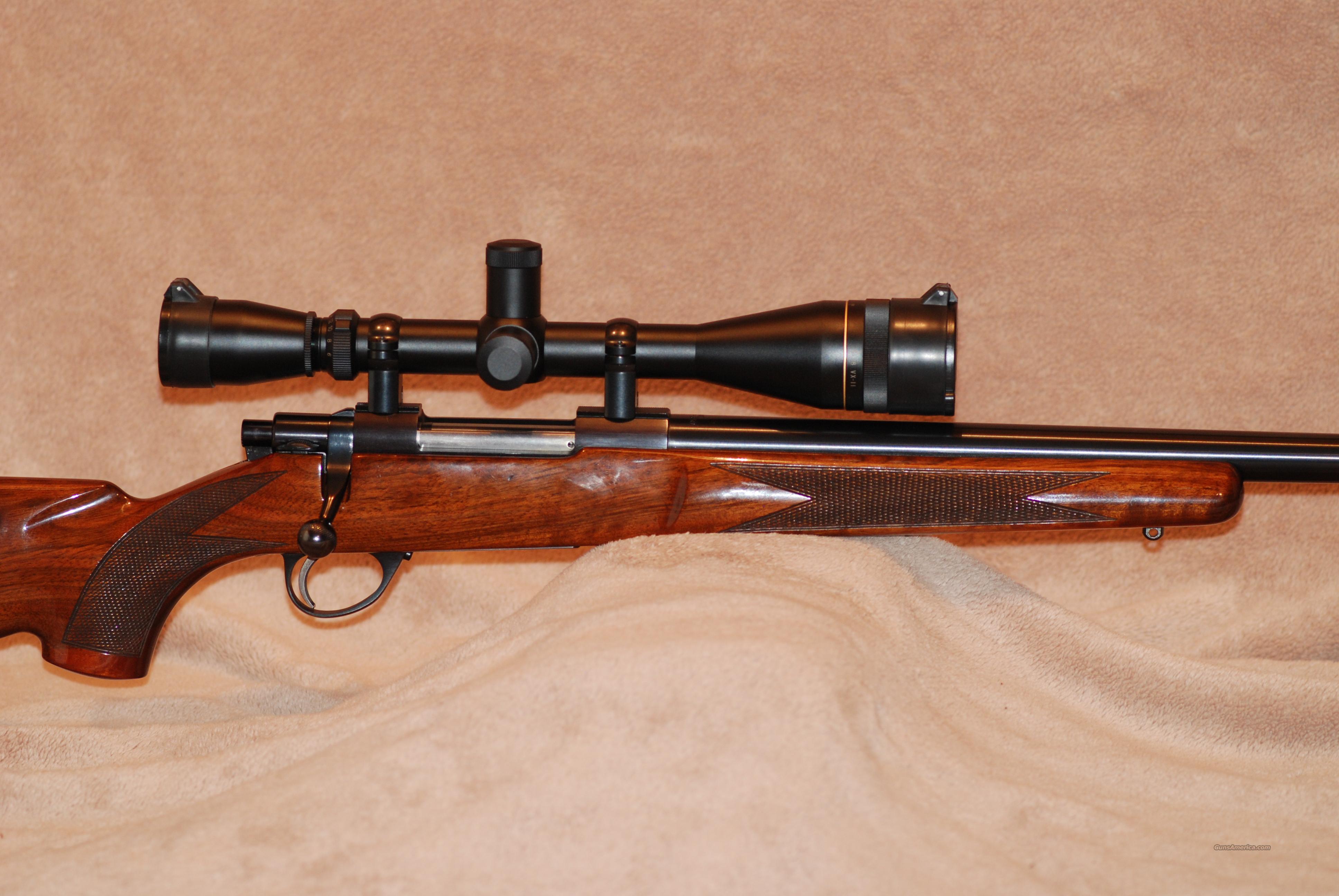 SAKO FORRESTER VARMINT for sale